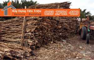 Vựa cừ tràm Huyện Hóc Môn công ty Tiền Triệu.