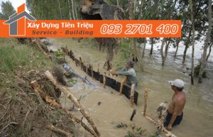Vựa cừ tràm Quận 7 công ty Tiền Triệu.