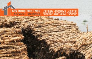 Vựa cừ tràm Quận Bình Thạnh công ty Tiền Triệu.