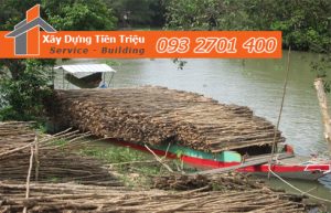 Vựa cừ tràm Quận Gò Vấp công ty Tiền Triệu.