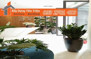 Địa chỉ mua bán cây cảnh bonsai cây xanh văn phòng Quận 5 giá rẻ