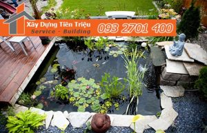 Tư vấn thiết kế thi công hồ nước sân vườn tiểu cảnh chuyên nghiệp