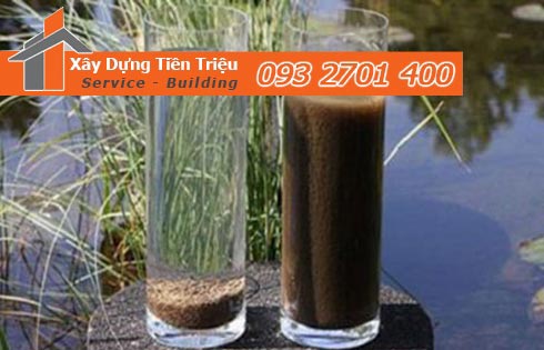 Công ty cung cấp vận chuyển bùn vi sinh Bình Thuận